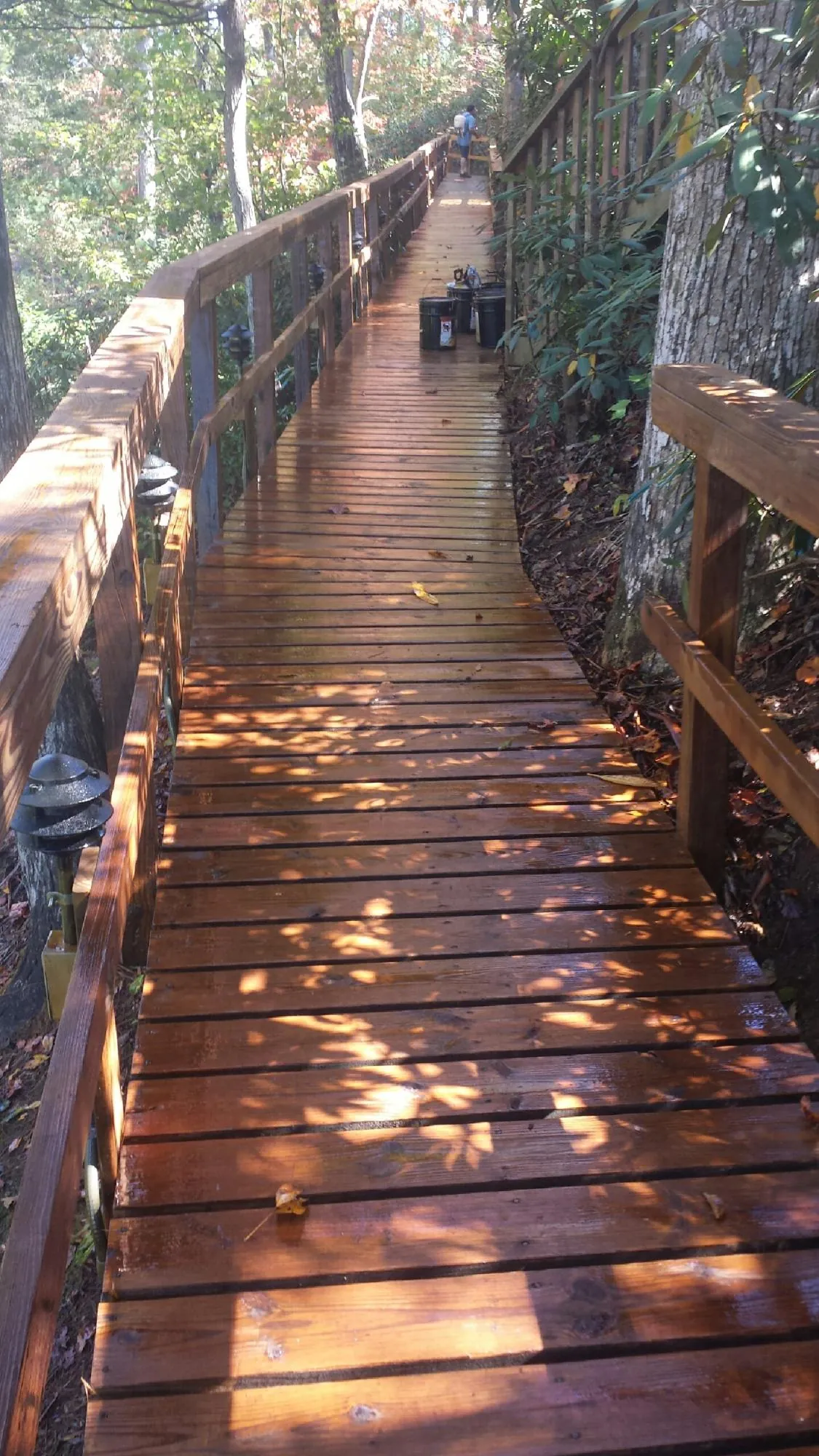 Freshly stained wood walkway winding through the woods in Greene